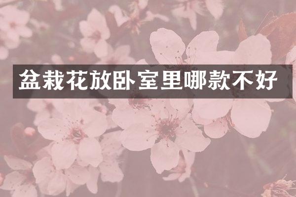 盆栽花放卧室里哪款不好