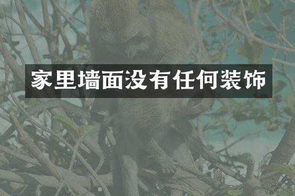 家里墙面没有任何装饰