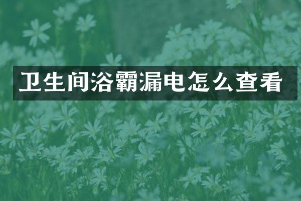 卫生间浴霸漏电怎么查看