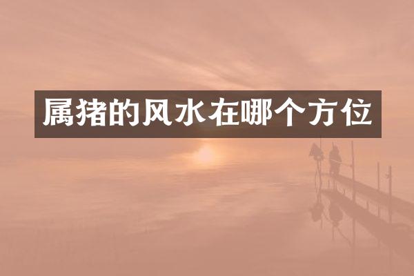 属猪的风水在哪个方位