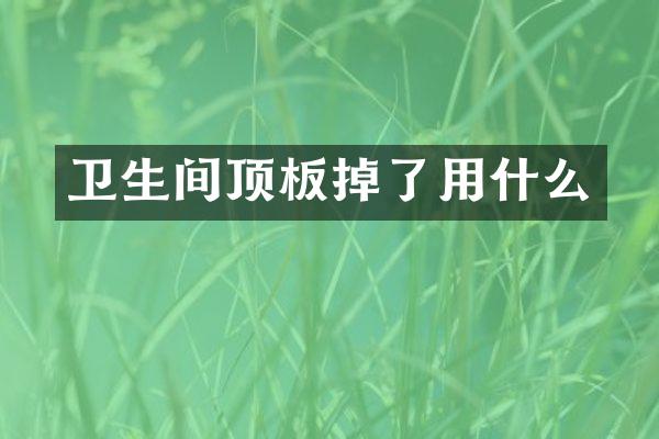 卫生间顶板掉了用什么