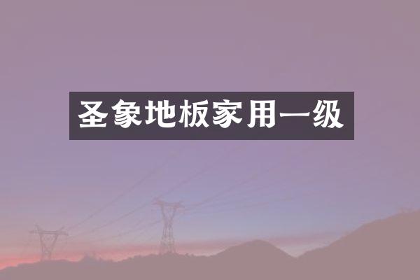 圣象地板家用一级