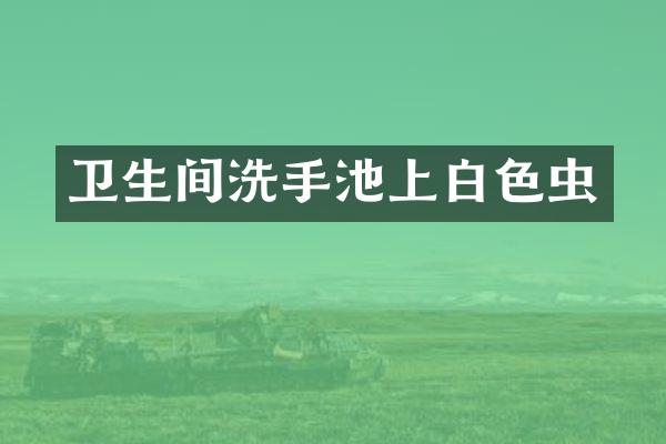 卫生间洗手池上白色虫
