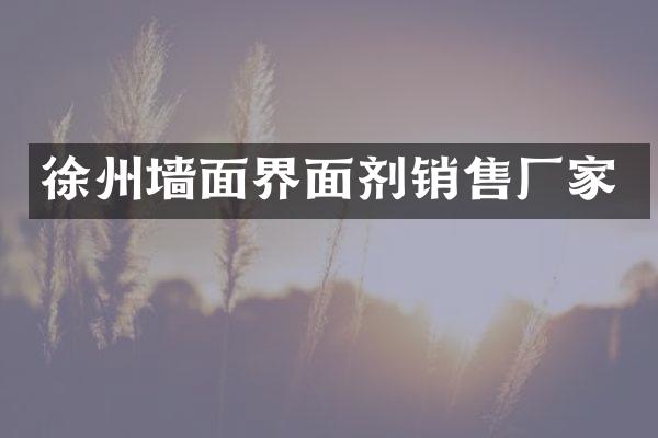 徐州墙面界面剂销售厂家