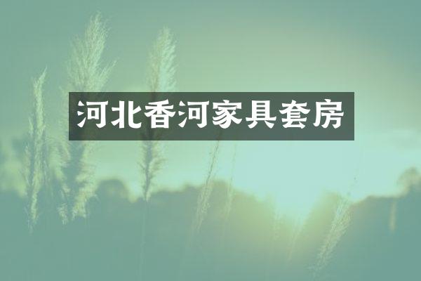 河北香河家具套房