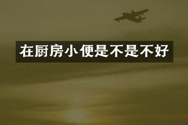 在厨房小便是不是不好