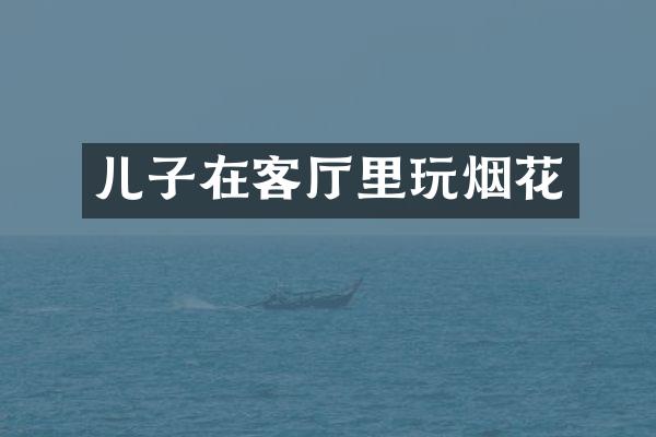 儿子在客厅里玩