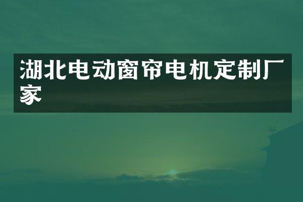 湖北电动窗帘电机定制厂家