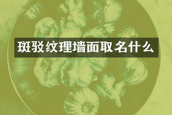 斑驳纹理墙面取名什么