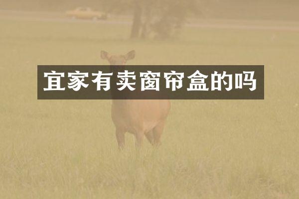 宜家有卖窗帘盒的吗