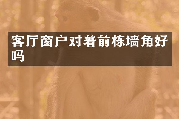 客厅窗户对着前栋墙角好吗