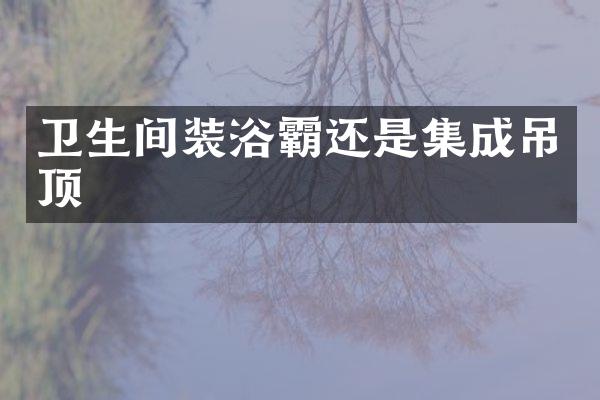 卫生间装浴霸还是集成吊顶