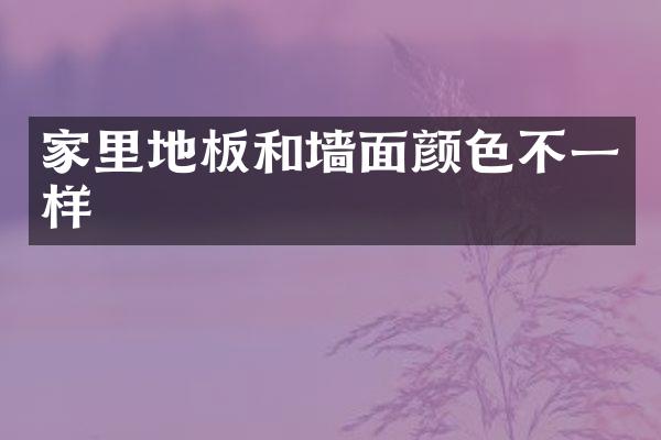 家里地板和墙面颜色不一样