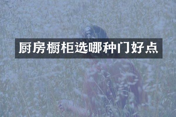 厨房橱柜选哪种门好点