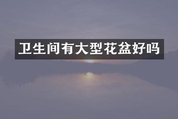 卫生间有大型花盆好吗
