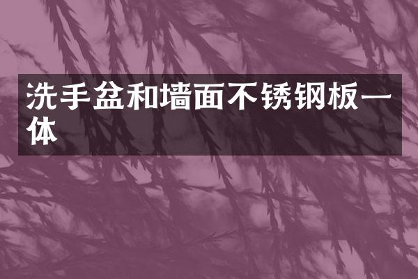 洗手盆和墙面不锈钢板一体