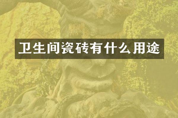 卫生间瓷砖有什么用途