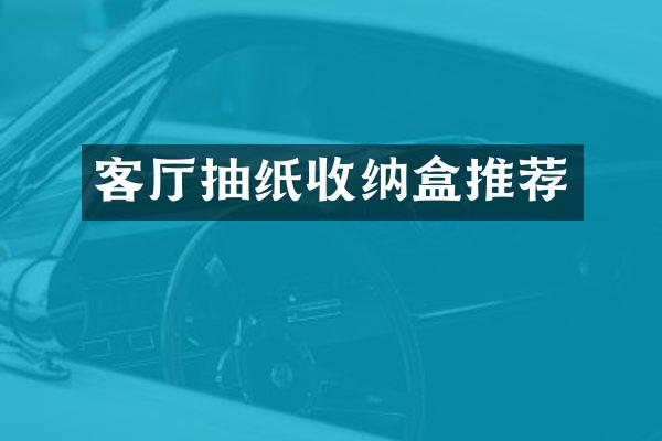 客厅抽纸收纳盒推荐