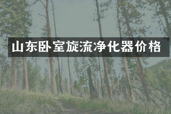 山东卧室旋流净化器价格