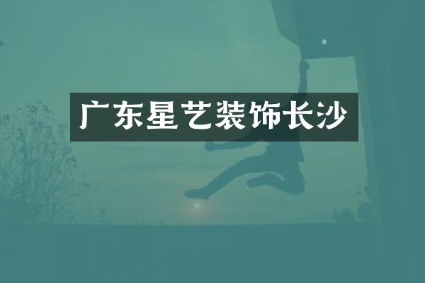 广东星艺装饰长沙