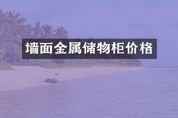 墙面金属储物柜价格