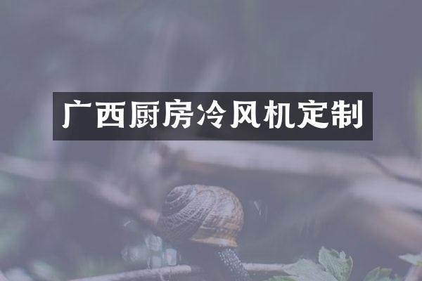 广西厨房冷风机定制