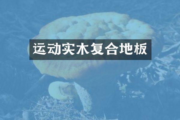 运动实木复合地板