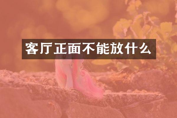客厅正面不能放什么