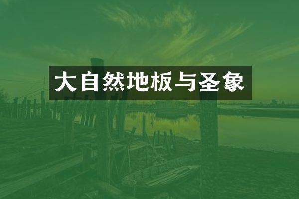 大自然地板与圣象