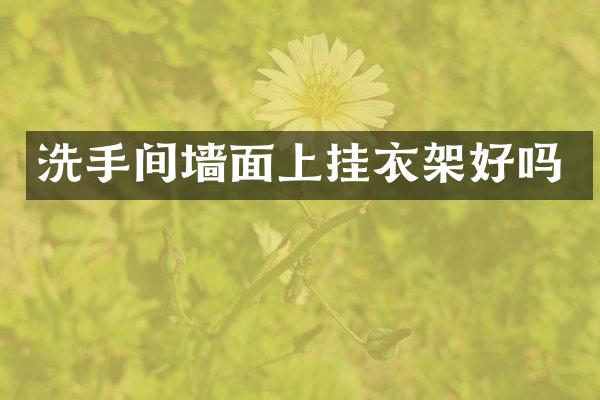 洗手间墙面上挂衣架好吗