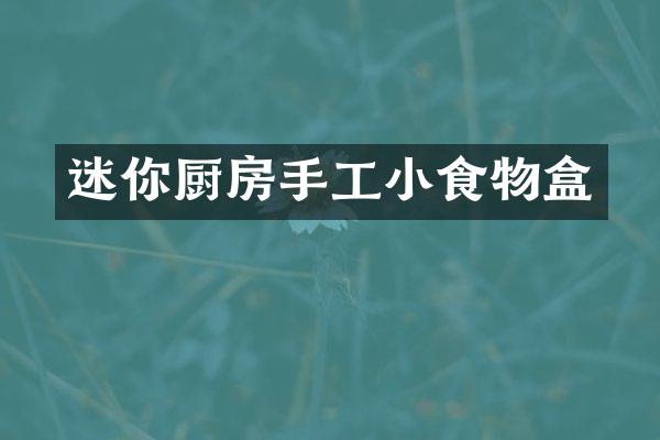 迷你厨房手工小食物盒
