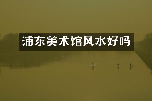 浦东美术馆风水好吗