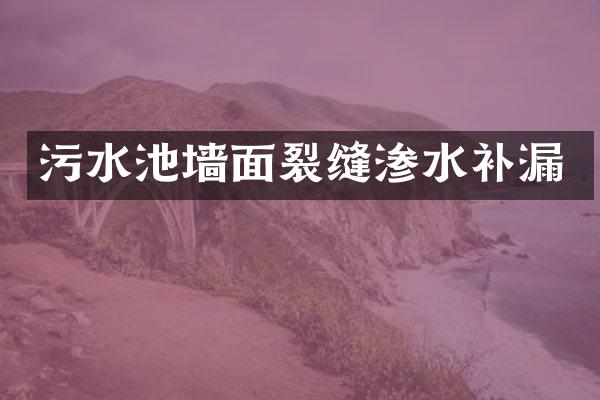污水池墙面裂缝渗水补漏