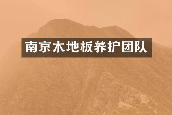 南京木地板养护团队