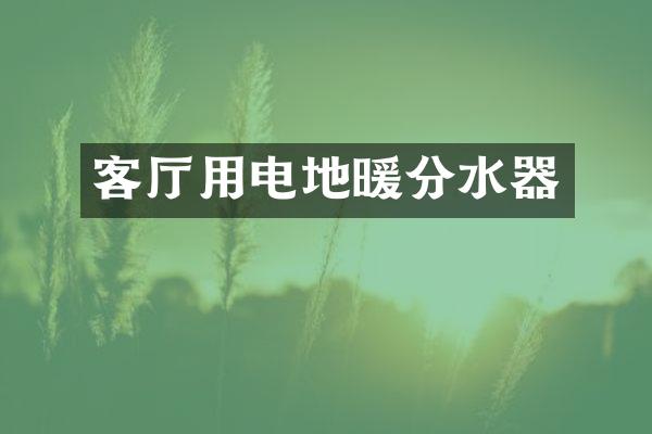 客厅用电地暖分水器