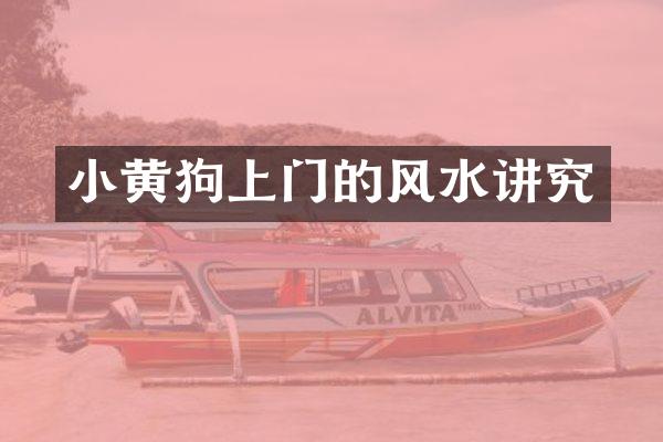 小黄狗上门的风水讲究