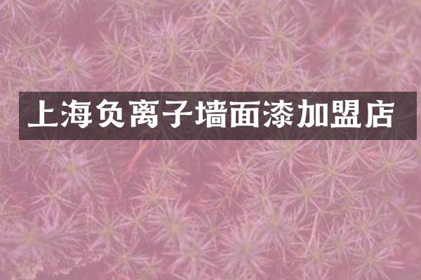 上海负离子墙面漆加盟店
