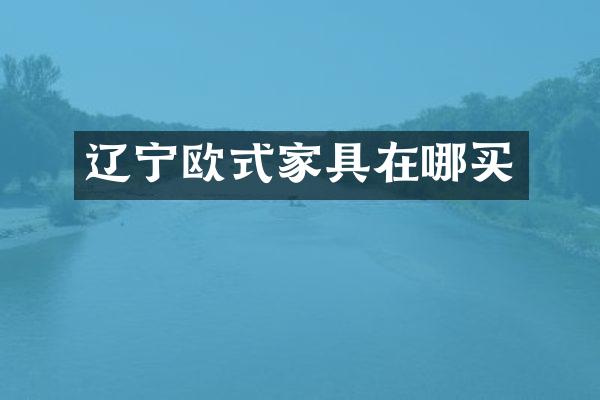 辽宁欧式家具在哪买