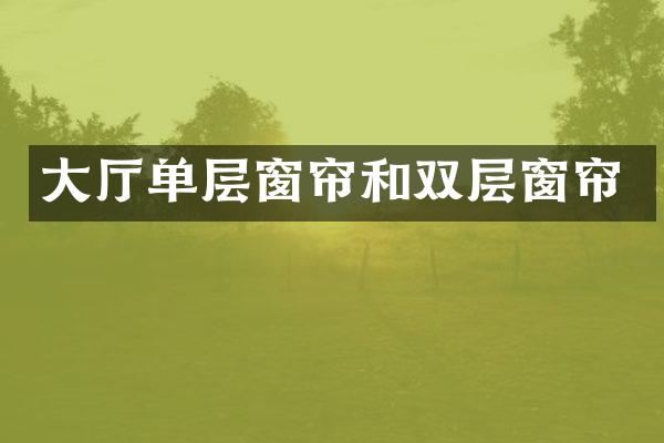 大厅单层窗帘和双层窗帘