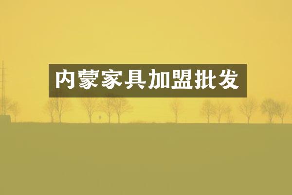 内蒙家具加盟批发