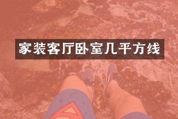 家装客厅卧室几平方线