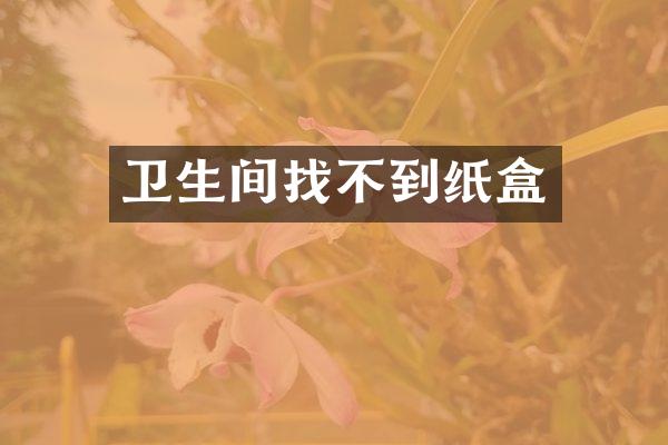 卫生间找不到纸盒