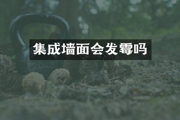 集成墙面会发霉吗
