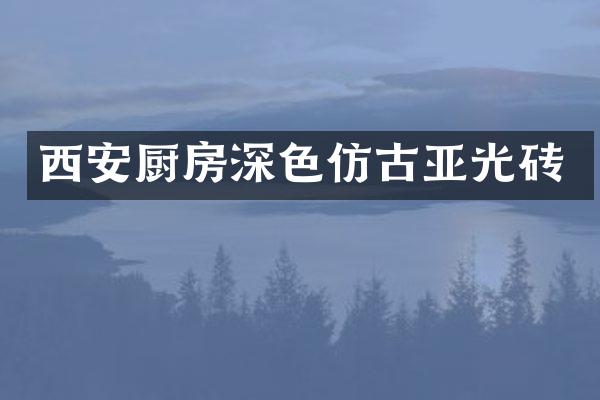 西安厨房深色仿古亚光砖