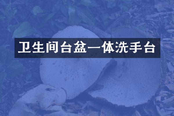卫生间台盆一体洗手台