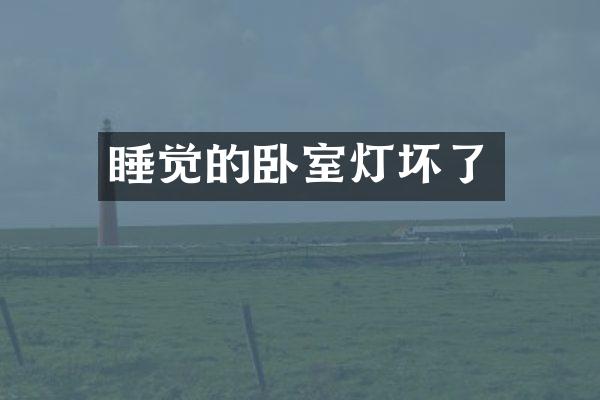 睡觉的卧室灯坏了