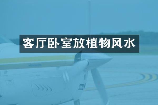 客厅卧室放植物风水