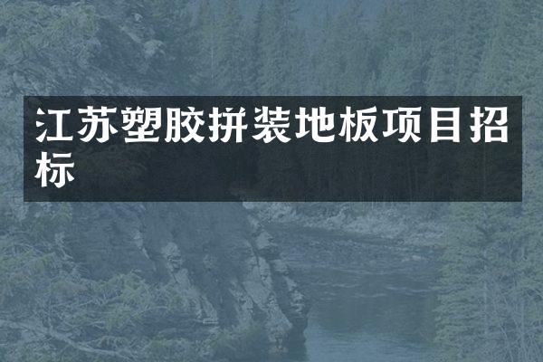 江苏塑胶拼装地板项目招标