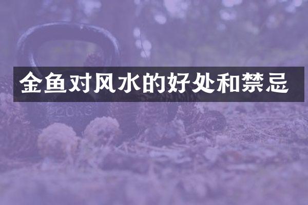 金鱼对风水的好处和禁忌