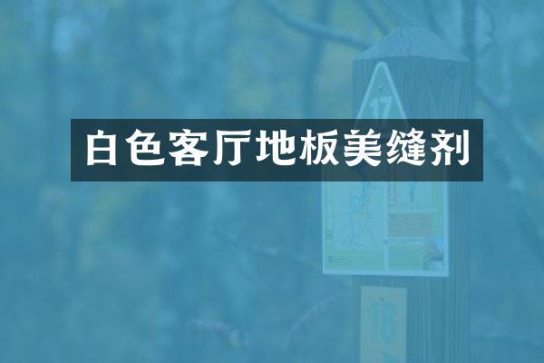 白色客厅地板美缝剂